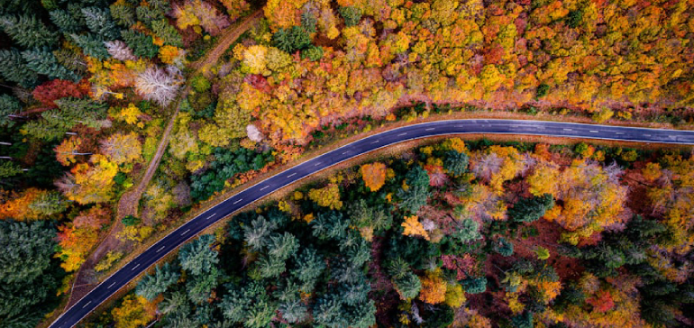 “Sana corrección en los mercados”